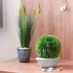 Im Gezeitenhaus Apartamento